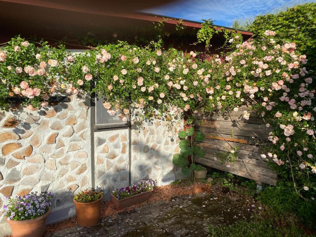 La Maison Du Potager Saint-Racho Ngoại thất bức ảnh