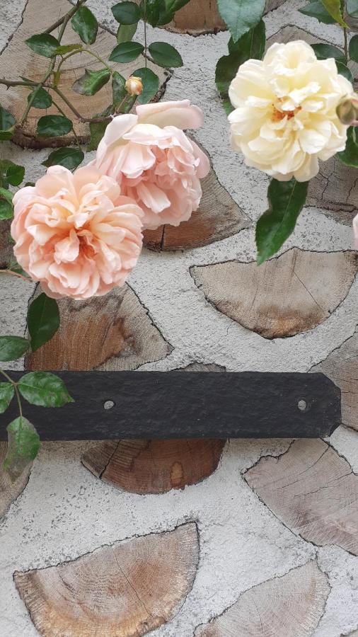 La Maison Du Potager Saint-Racho Ngoại thất bức ảnh