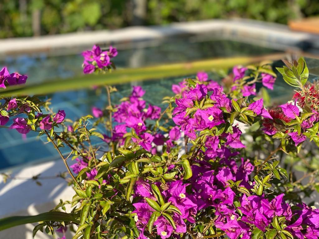La Maison Du Potager Saint-Racho Ngoại thất bức ảnh