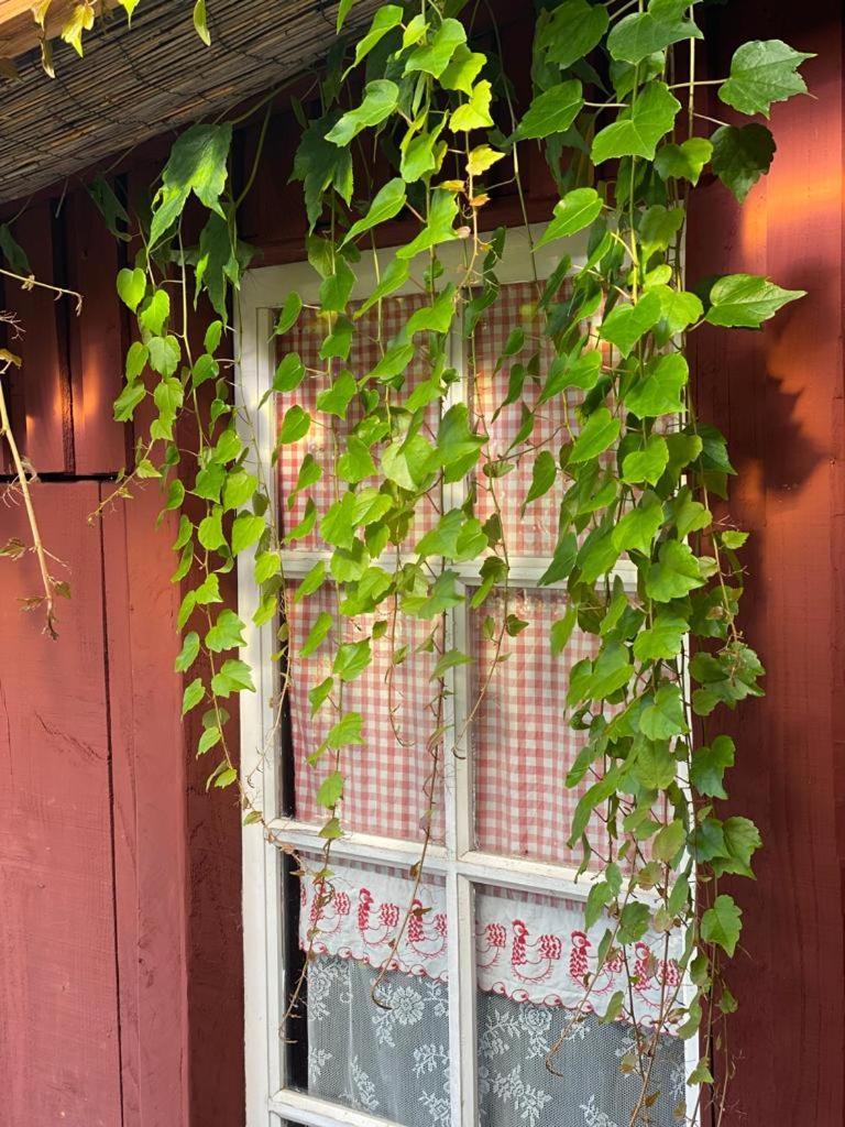 La Maison Du Potager Saint-Racho Ngoại thất bức ảnh